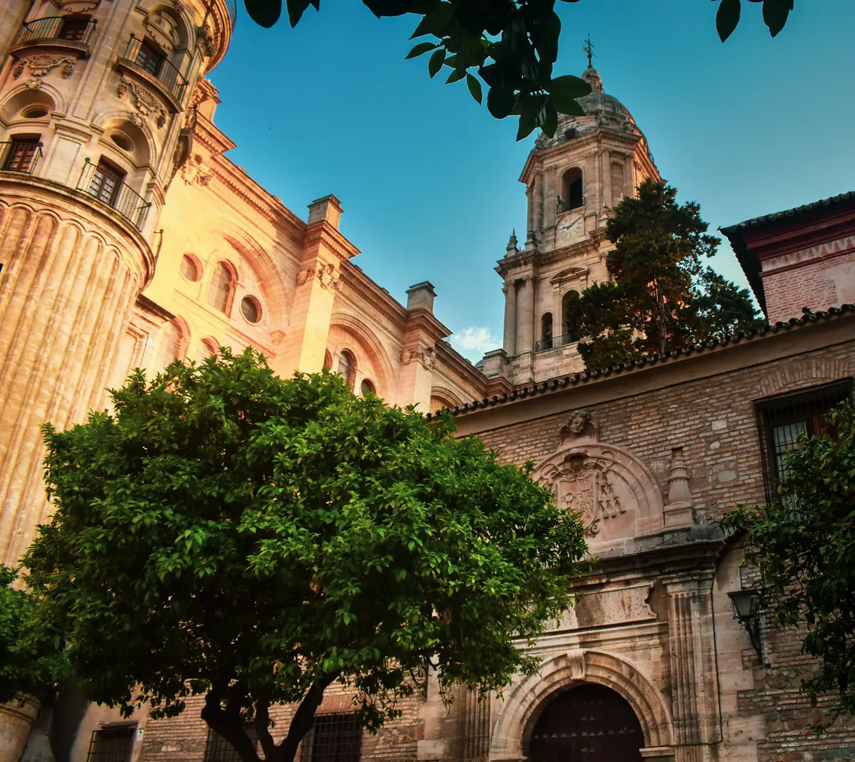 Malaga Cathedral framed by orange trees in the historic centre