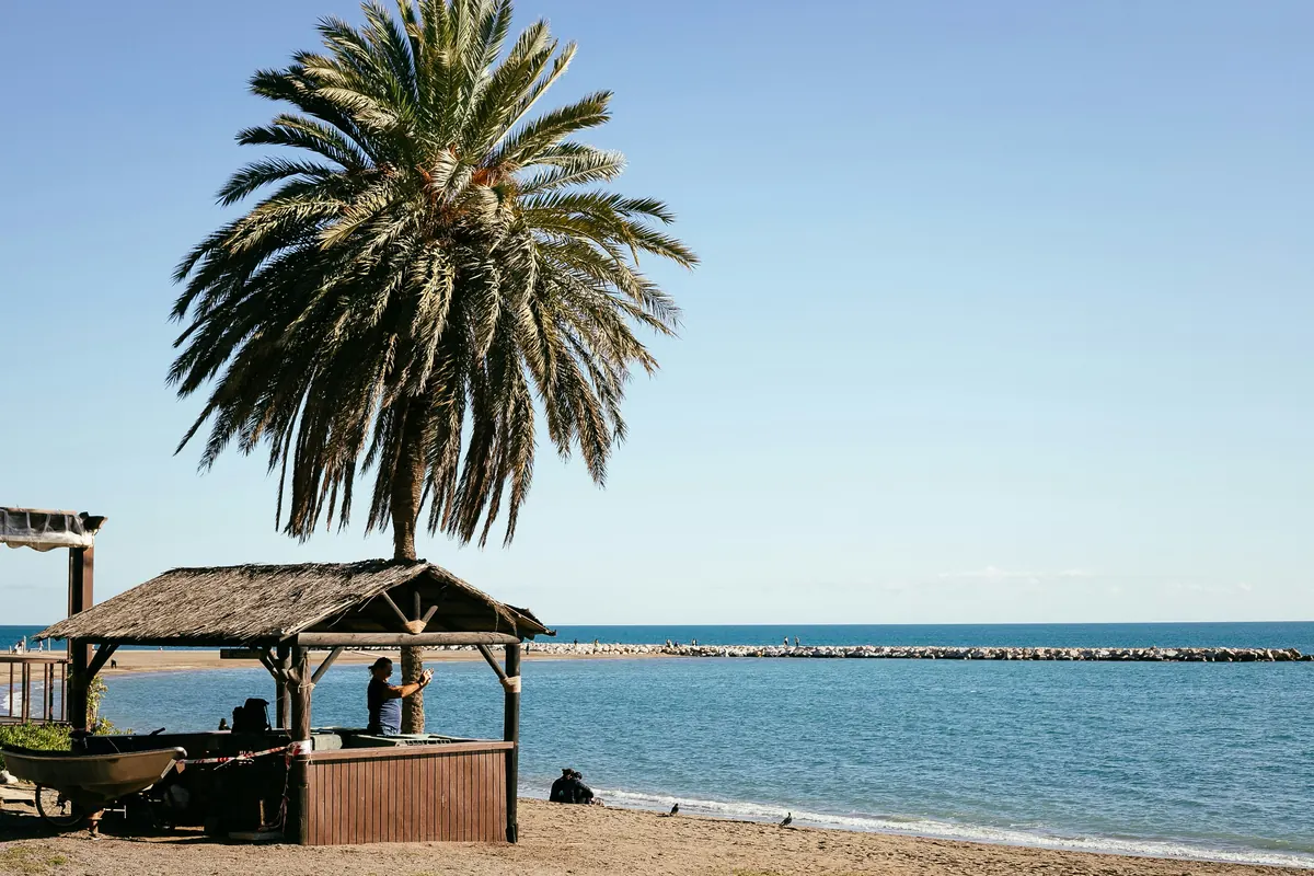 Palm tree and beach bar on Malaga's eastern coast